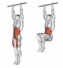 hanging leg raise
