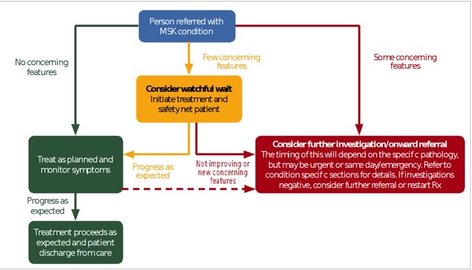 Finucane L. Red flag pathway - an Introduction to red flags in serious pathology slide. Plus2020