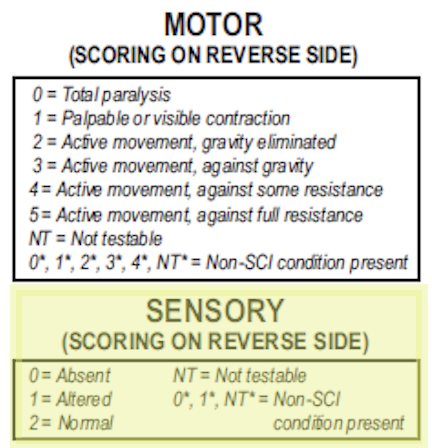 File:Sensory Scoring 2026.png