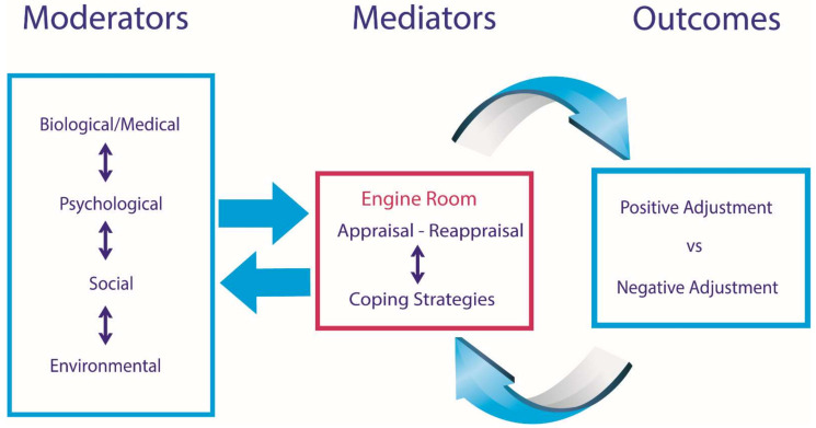 Spinal Cord Injury Adjustment Model