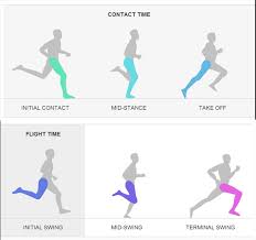 The Running Cycle