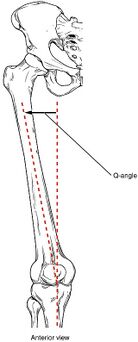 Q angle