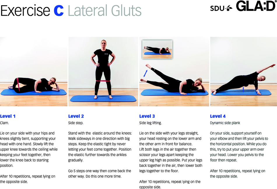 Four progressive levels of lateral gluteal exercises from the GLA:D Back programme: Clam, Side step, Side leg lifting and Dynamic side plank.
