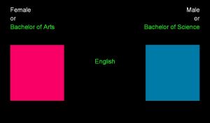 A picture of an academic/gender Implicit Association Test