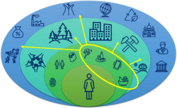 Figure 5. "Expanded" role of rehabilitation professionals in addressing social determinants of health.