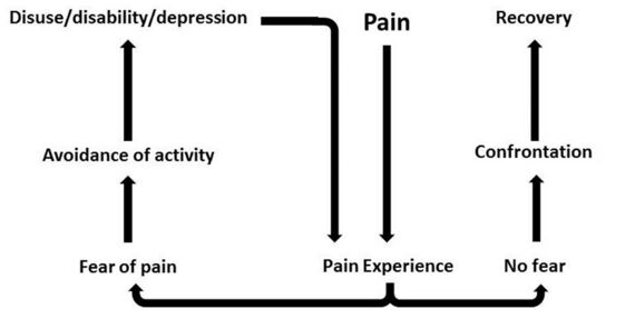 Fear-avoidance model