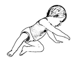 Transition to prone lying and 4 point kneeling