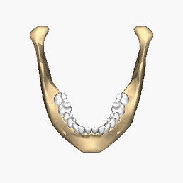 https://commons.wikimedia.org/wiki/File:Mandible_close-up_supeiror_animation.gif