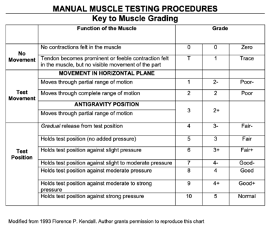 MMT Scoring