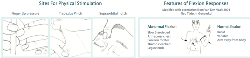 GCS Responses and Sites of Stimulation