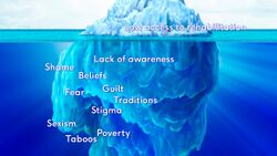 Figure 3. "Hidden" factors of attitudes and beliefs related to low access to rehabilitation