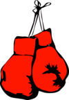 Boxing Gloves