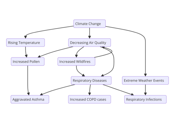 Scheme of the pathways linking climate change and respiratory health impacts.