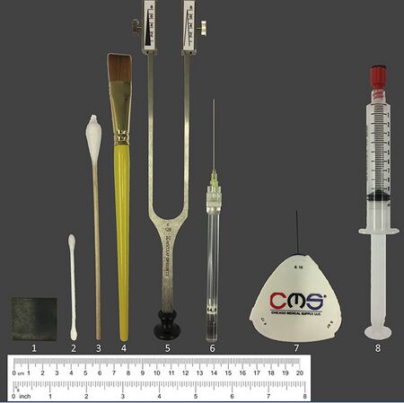 Bedside-QST devices. Displayed are the devices used for bedside-QST. (1) 3-cm2 metal piece, (2) Q-tip, (3) cotton wisp, (4) brush, (5) tuning fork c 128/C 64 Hz, (6) von Frey hair 64 mN, (7) 0.7-mm/0.4-mm CMS hair, (8) 10-mL syringe. QST, quantitative sensory testing.