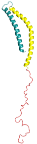 Alpha-synuclein