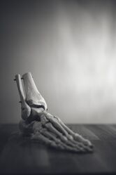 Ankle