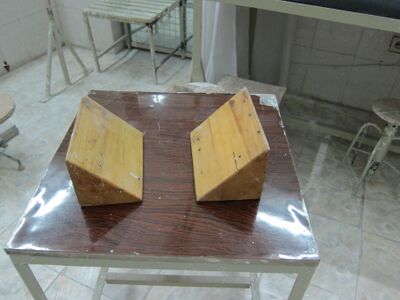 Casting blocks HP prosthesis[13]