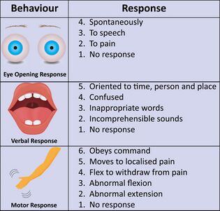 Glasgow Coma Scale