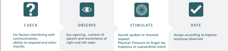 GCS Steps to Assessment