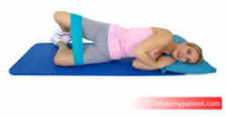 External Rotation of the Hip in Shallow Hip Flexion