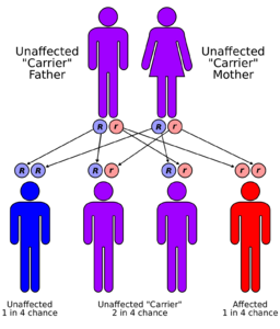 Autosomal Recessive
