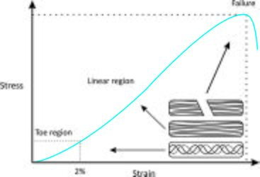 Tendon Stress-Strain Curve