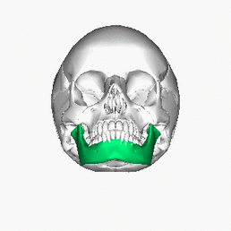 https://commons.wikimedia.org/wiki/File:Mandible_inferior_animation.gif