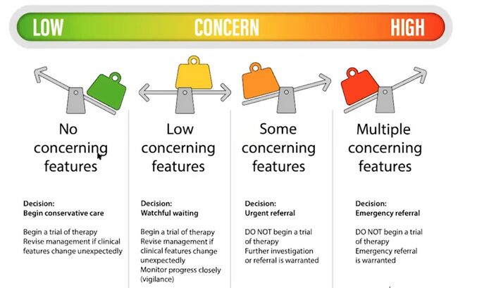 Finucane L. Decision Model - an Introduction to Red Flags Course slide. Plus2020