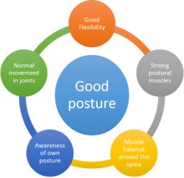 Components of Good Posture (Adapted from the Mayfield Clinic (2016))
