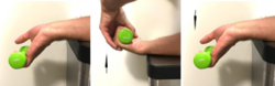 Eccentric wrist flexion