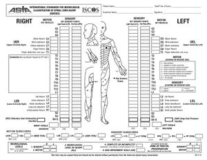 ASIA Exam Worksheet