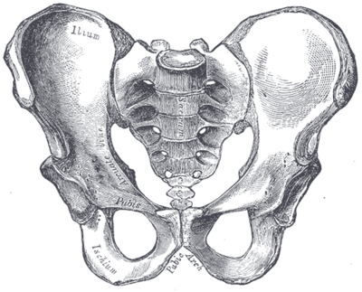 Sacroiliac joint