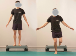 Fitness activities: step down/step up