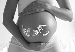 Pregnancy