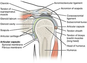 Shoulder-Hand Syndrome