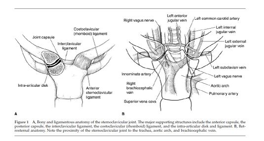 Figure adapted from: Higginbotham TO, Kuhn JE. Atraumatic disorders of the sternoclavicular joint. Journal of the American Academy of Orthopaedic Surgeons. 2005;13:138-145.