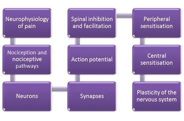 Figure showing the content of PNE education sessions