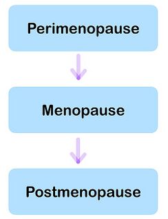 Different phases of Menopause