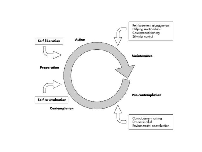 The Transtheoretical model taken from Adams and White (2003)