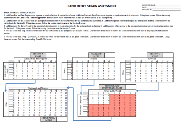 The scoring part of the ROSA worksheet