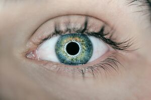 A human eye