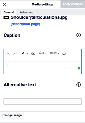 This image shows how to add a verbal description to an uploaded image