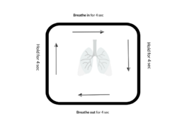Figure 5. Box breathing.