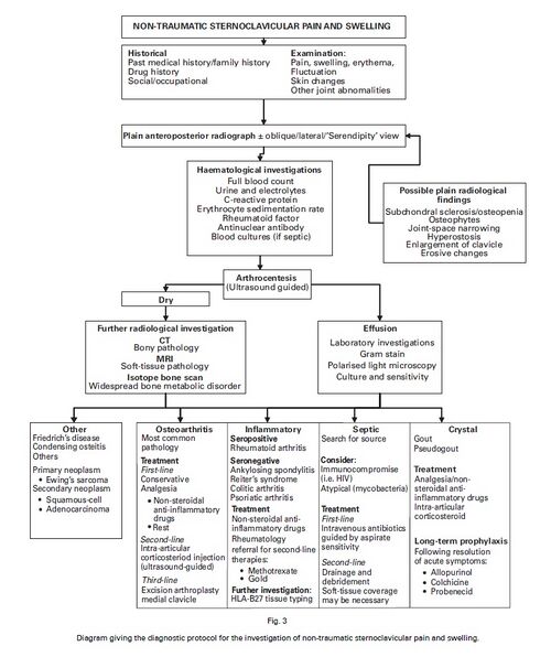 Figure adapted from: Robinson C, Jenkins P, Markham PBI. Disorders of the sternoclavicular joint. The Journal of Bone and Joint Surgery. June 2008;90-B(6):685-696.