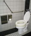 Example of a toilet seat rise (also known as an elevated toilet seat)
