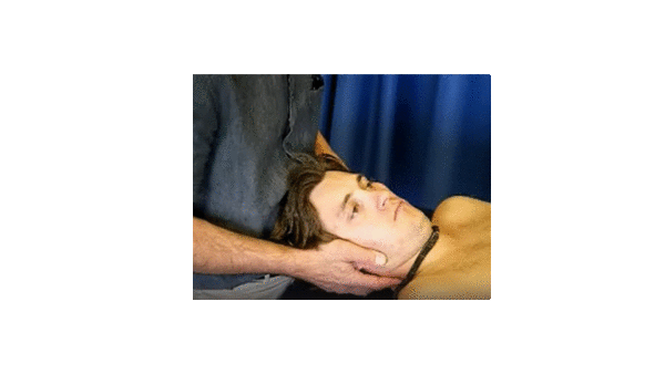 Demonstration of PPIVM isolating movement to one motion segment
