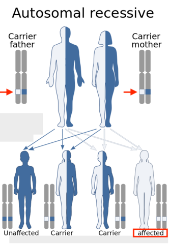 Autosomal Recessive