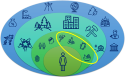 Figure 4. Role of rehabilitation professionals in addressing social determinants of health.
