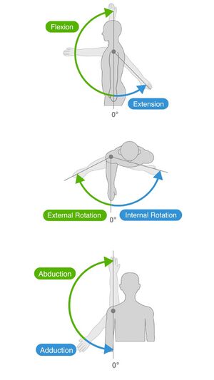 Shoulder movements