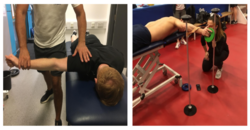 Consider shoulder in elbow rehabilitation